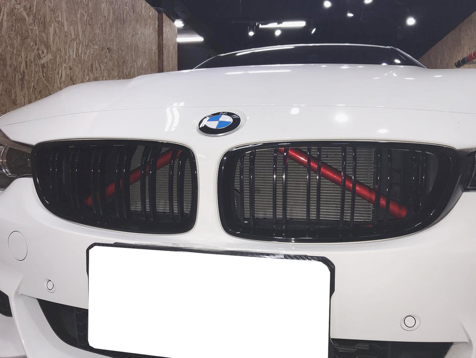 Red Behind Kidney Grille V-Bar Decoration Cover Trims For BMW 1 2 3 Series Z4