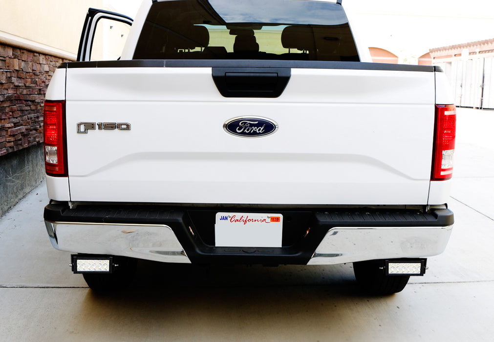 Double Row LED Light Bars w/Rear Bumper Mount, Wire For 15-20 F150, 17-20 Raptor